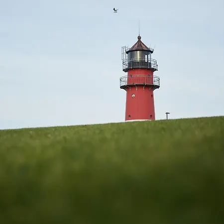 Appartement Binnendiek Haus 6 4 *
